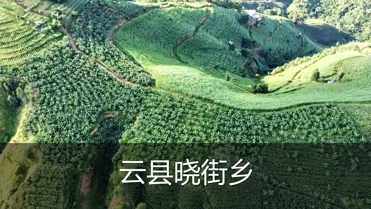 云县晓街乡